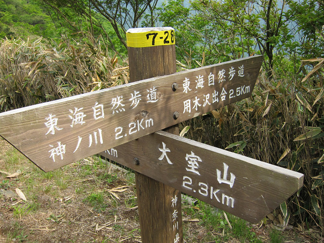 resize0089.jpg
