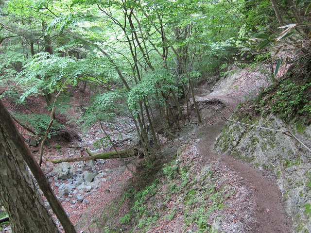 resize0090.jpg