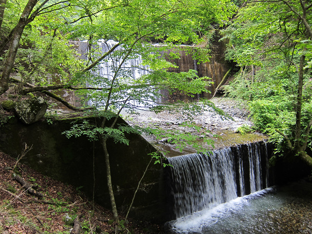 resize0091.jpg