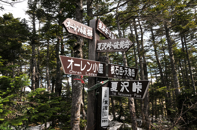 resize0145.jpg