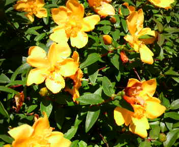 2009053113010000.jpg