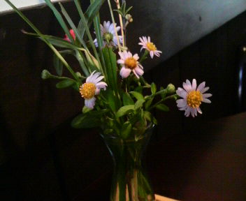 2009070514550002.jpg