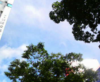2009071808320000.jpg
