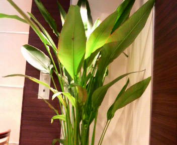 2009071808140001.jpg