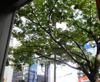 2009071808140000.jpg