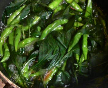 2009081700000000.jpg