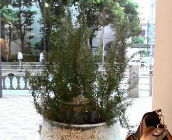2009090210130000.jpg