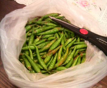 2010081321340001.jpg