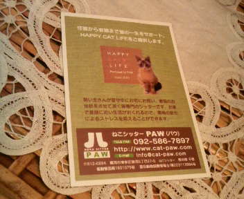 2010111719450000.jpg