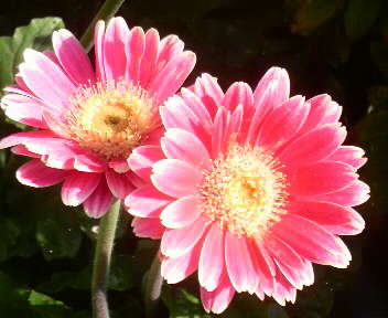 2010112710370000.jpg
