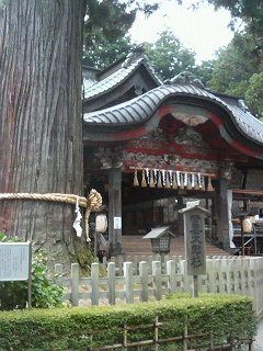 200709091254000.jpg