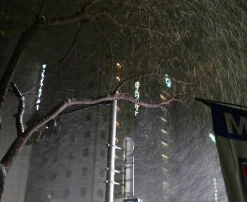 2011013022580000.jpg