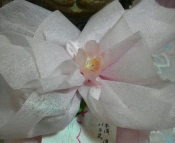 2011030411070000.jpg