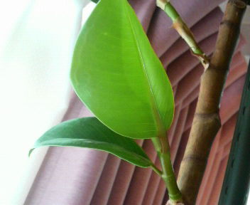 2011032215260000.jpg