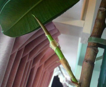 2011032215230000.jpg
