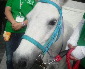 2011072917050000.jpg