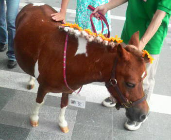 2011072917030000.jpg