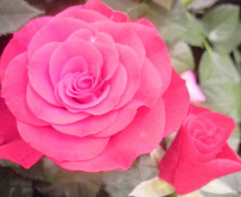 2012060317590000.jpg