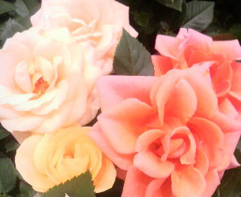 2012060317580000.jpg