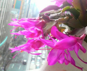 2013022310190000.jpg