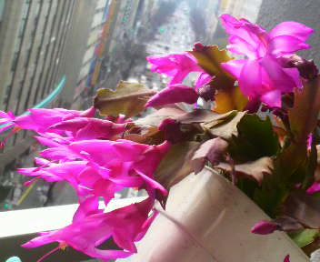 2013022310200000.jpg