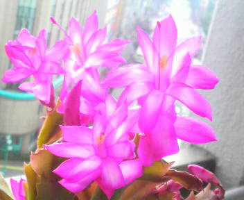 2013022310240000.jpg