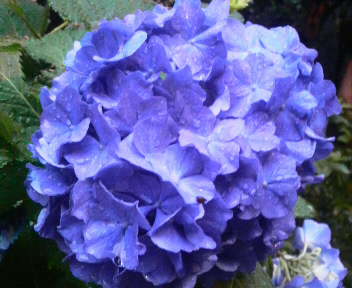 2013060119010001.jpg