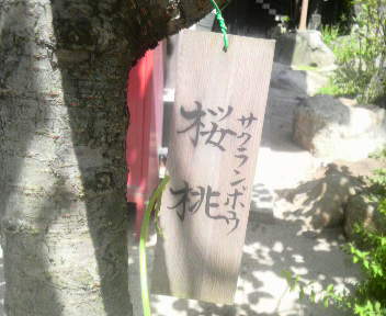 2015050111080001.jpg