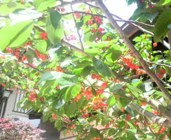 2015050111070000.jpg
