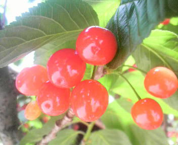 2015050111080000.jpg