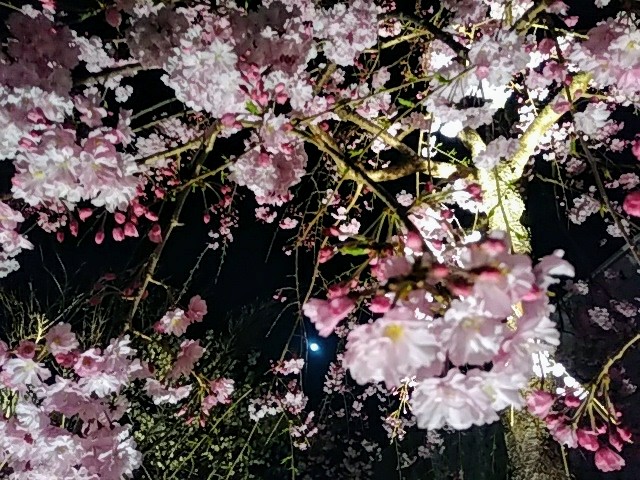 IMG_20180330_191648.jpg