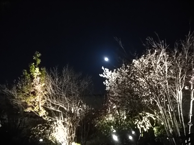 IMG_20180330_191803.jpg