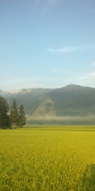 120825_061644_ed.jpg