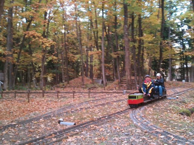 20121102_131016.jpg
