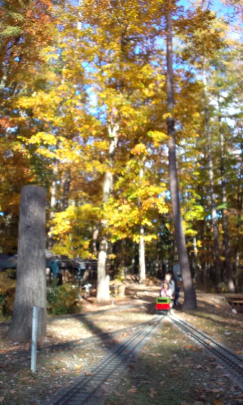 121103_143957_ed.jpg