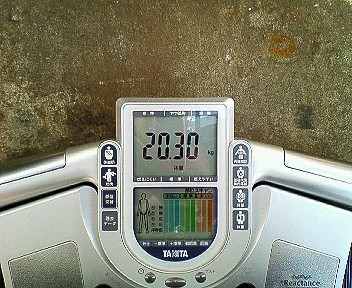 BMW Z1 R1R weight