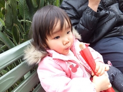 2012/03/19 TDL