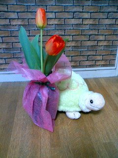 20070223_37221.JPG