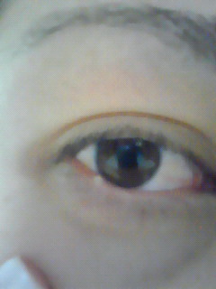 200910272158000.jpg