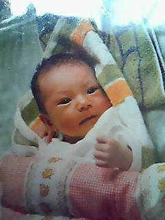201002121445000.jpg