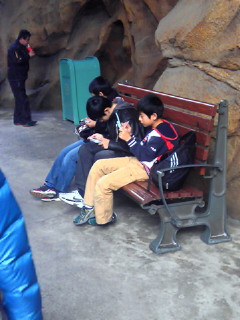 201101021216000.jpg