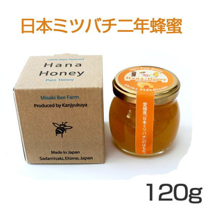 日本ミツバチのはちみつ