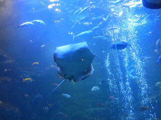 2013091610530000.jpg