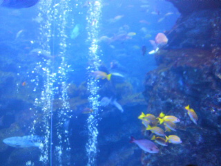 2013091610550000.jpg