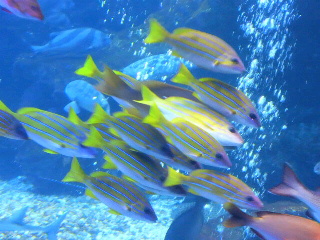 2013091610550001.jpg