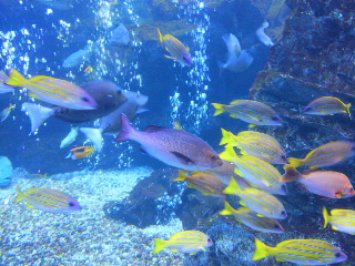 2013091610560000.jpg
