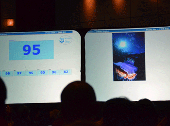 108DSC_3962.gif