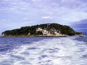 猿島