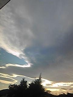 Image320.jpg