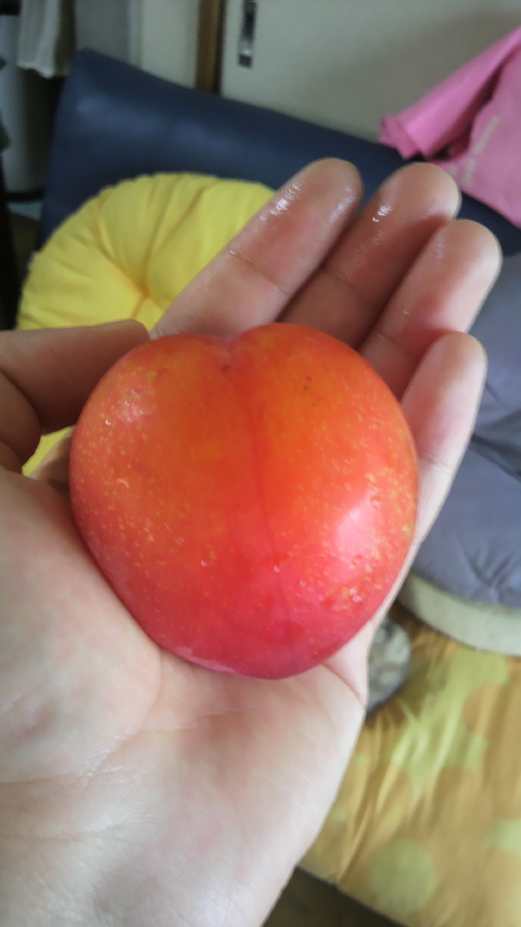 P1000502.jpg